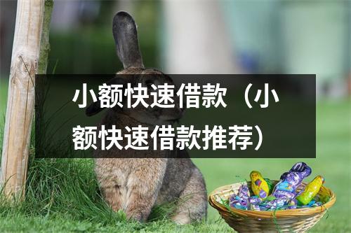 小额快速借款（小额快速借款推荐）