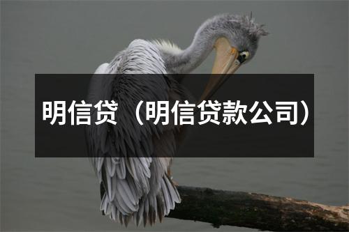 明信贷（明信贷款公司）