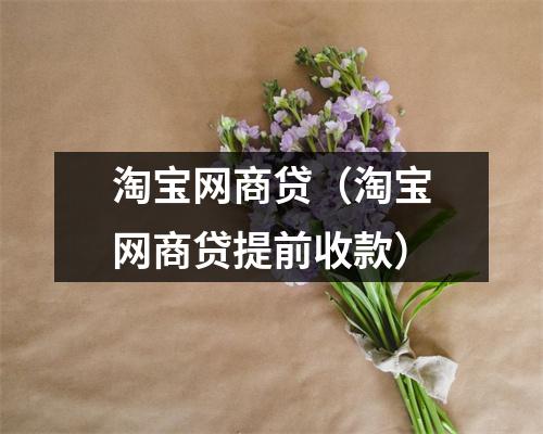 淘宝网商贷（淘宝网商贷提前收款）