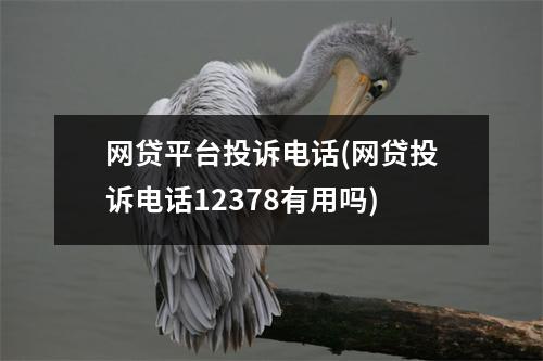 网贷平台投诉电话(网贷投诉电话12378有用吗)