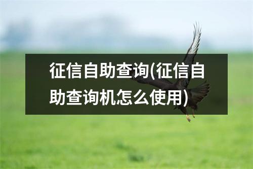 征信自助查询(征信自助查询机怎么使用)