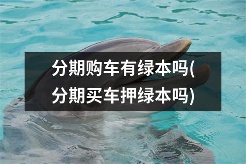 分期购车有绿本吗(分期买车押绿本吗)