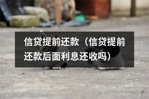 信贷提前还款(信贷提前还款后面利息还收吗)