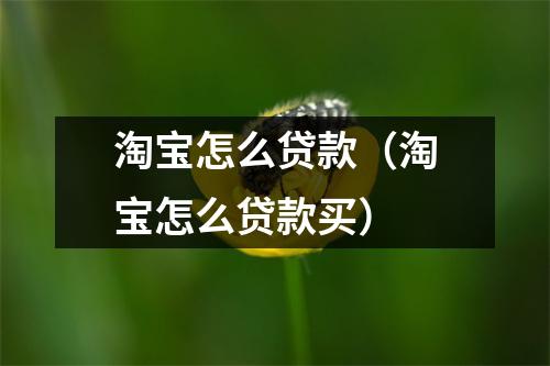 淘宝怎么贷款(淘宝怎么贷款买)