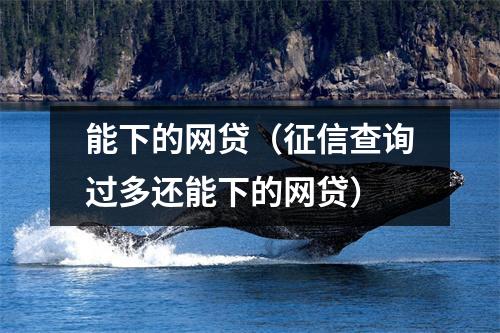 能下的网贷（征信查询过多还能下的网贷）