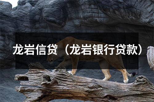 龙岩信贷（龙岩银行贷款）