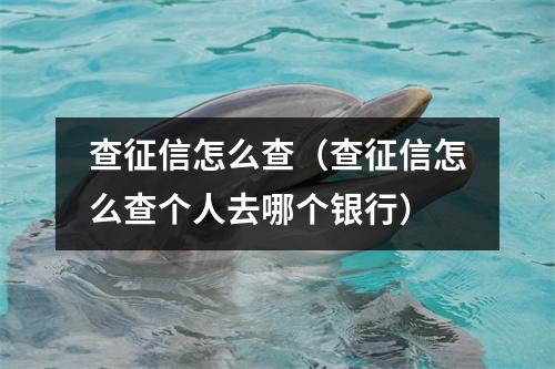 查征信怎么查（查征信怎么查个人去哪个银行）