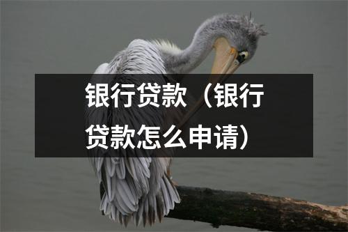 银行贷款(银行贷款怎么申请)