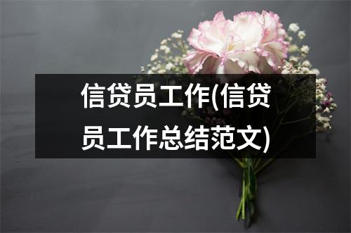 信贷员工作(信贷员工作总结范文)