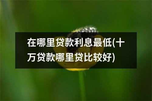 在哪里贷款利息最低(十万贷款哪里贷比较好)