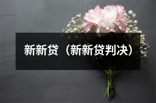 新新贷(新新贷判决)