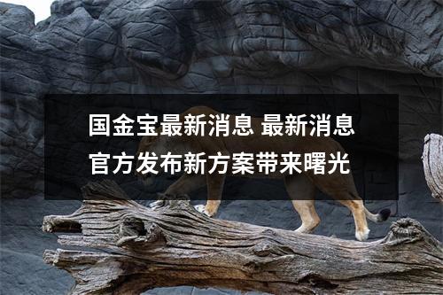 国金宝最新消息 最新消息官方发布新方案带来曙光 