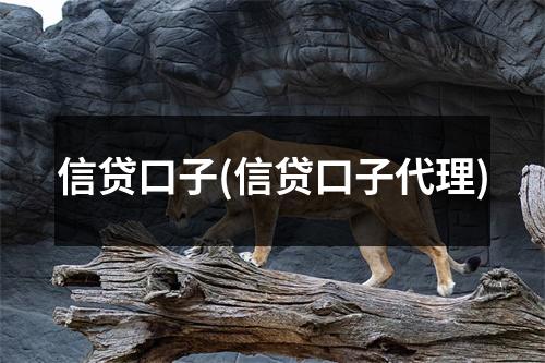 信贷口子(信贷口子代理)