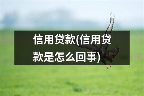 信用贷款(信用贷款是怎么回事)