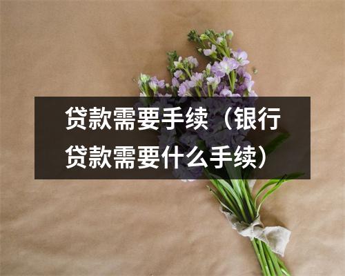 贷款需要手续（银行贷款需要什么手续）