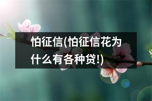 怕征信(怕征信花为什么有各种贷!)