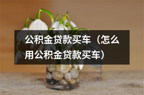 公积金贷款买车（怎么用公积金贷款买车）