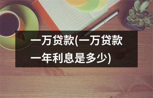 一万贷款(一万贷款一年利息是多少)