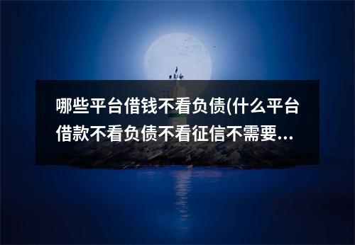 哪些平台借钱不看负债(什么平台借款不看负债不看征信不需要填写太多资料)