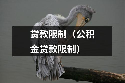 贷款限制（公积金贷款限制）