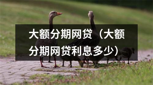大额分期网贷（大额分期网贷利息多少）