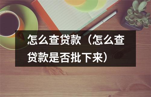 怎么查贷款(怎么查贷款是否批下来)
