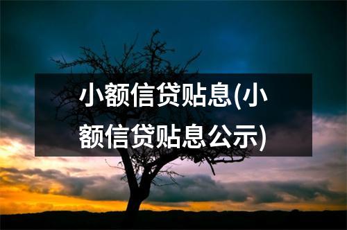 小额信贷贴息(小额信贷贴息公示)