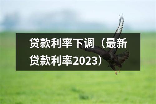 贷款利率下调(最新贷款利率2023)