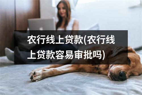 农行线上贷款(农行线上贷款容易审批吗)