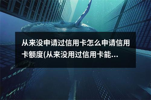 从来没申请过信用卡怎么申请信用卡额度(从来没用过信用卡能申请信用卡吗)
