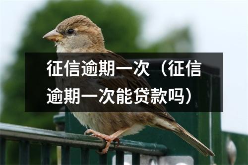 征信逾期一次（征信逾期一次能贷款吗）