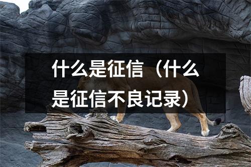 什么是征信(什么是征信不良记录)