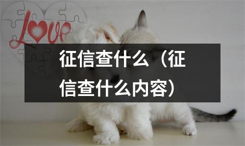 征信查什么（征信查什么内容）