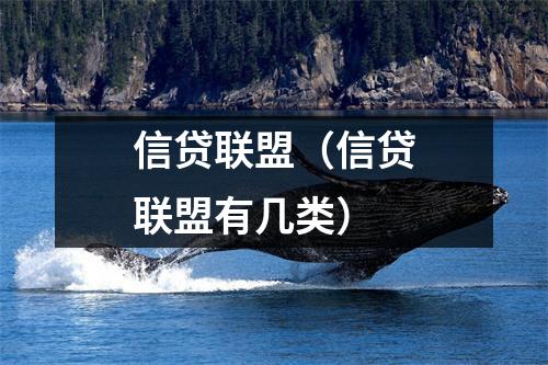 信贷联盟(信贷联盟有几类)