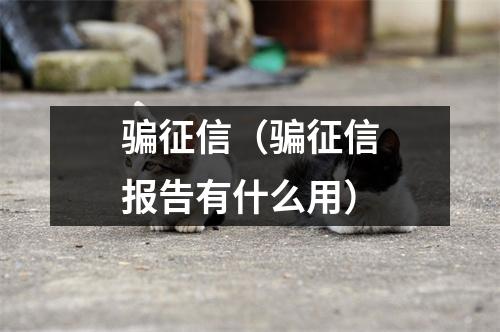 骗征信(骗征信报告有什么用)