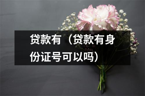 贷款有(贷款有身份证号可以吗)