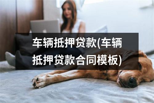 车辆抵押贷款(车辆抵押贷款合同模板)