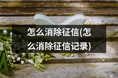 怎么消除征信(怎么消除征信记录)