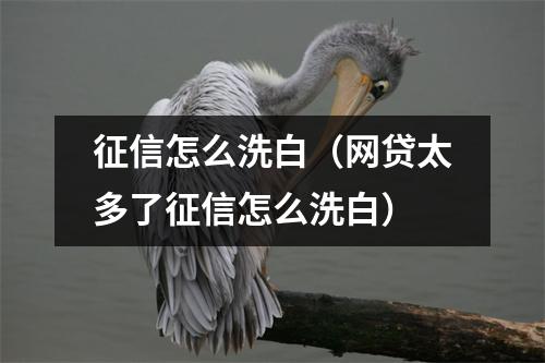 征信怎么洗白(网贷太多了征信怎么洗白)