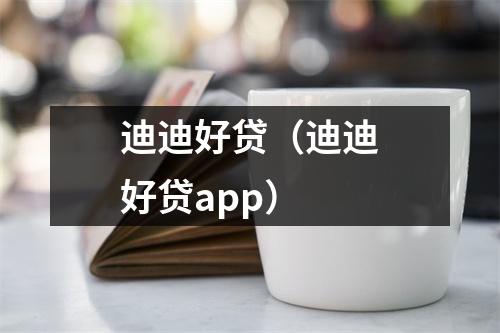 迪迪好贷（迪迪好贷app）