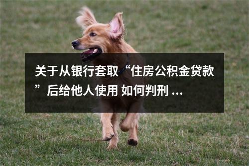 关于从银行套取“住房公积金贷款”后给他人使用 如何判刑 的一些推荐