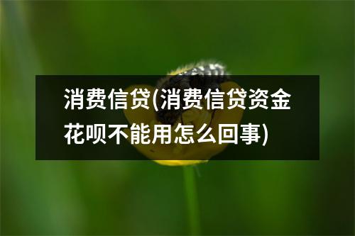 消费信贷(消费信贷资金花呗不能用怎么回事)