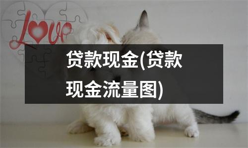 贷款现金(贷款现金流量图)