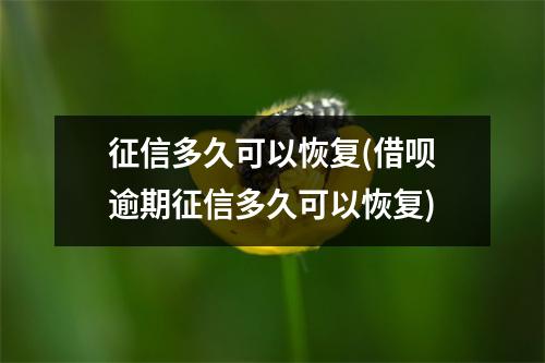 征信多久可以恢复(借呗逾期征信多久可以恢复)