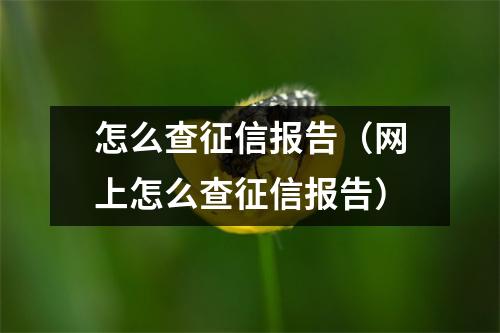 怎么查征信报告(网上怎么查征信报告)