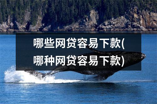 哪些网贷容易下款(哪种网贷容易下款)