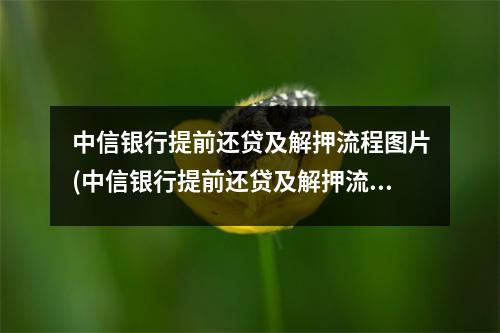 中信银行提前还贷及解押流程图片(中信银行提前还贷及解押流程视频)