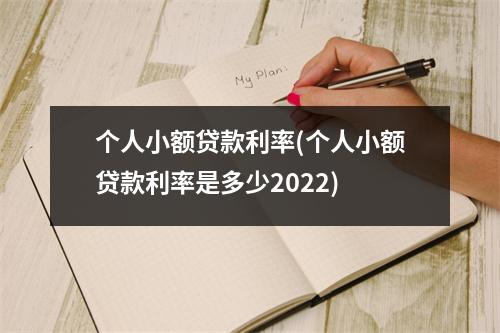 个人小额贷款利率(个人小额贷款利率是多少2022)