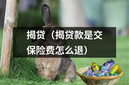 揭贷（揭贷款是交保险费怎么退）