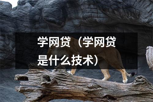 学网贷（学网贷是什么技术）
